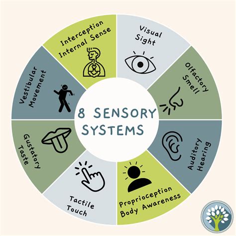 Behavior and Sensory Systems.